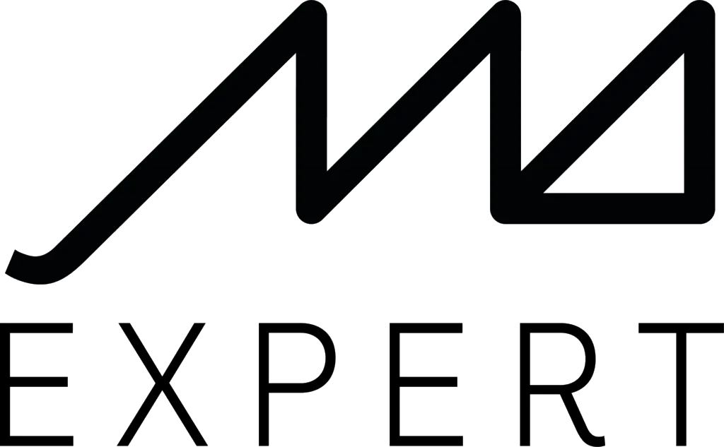 Logo Artisan Expert Marius Aurenti