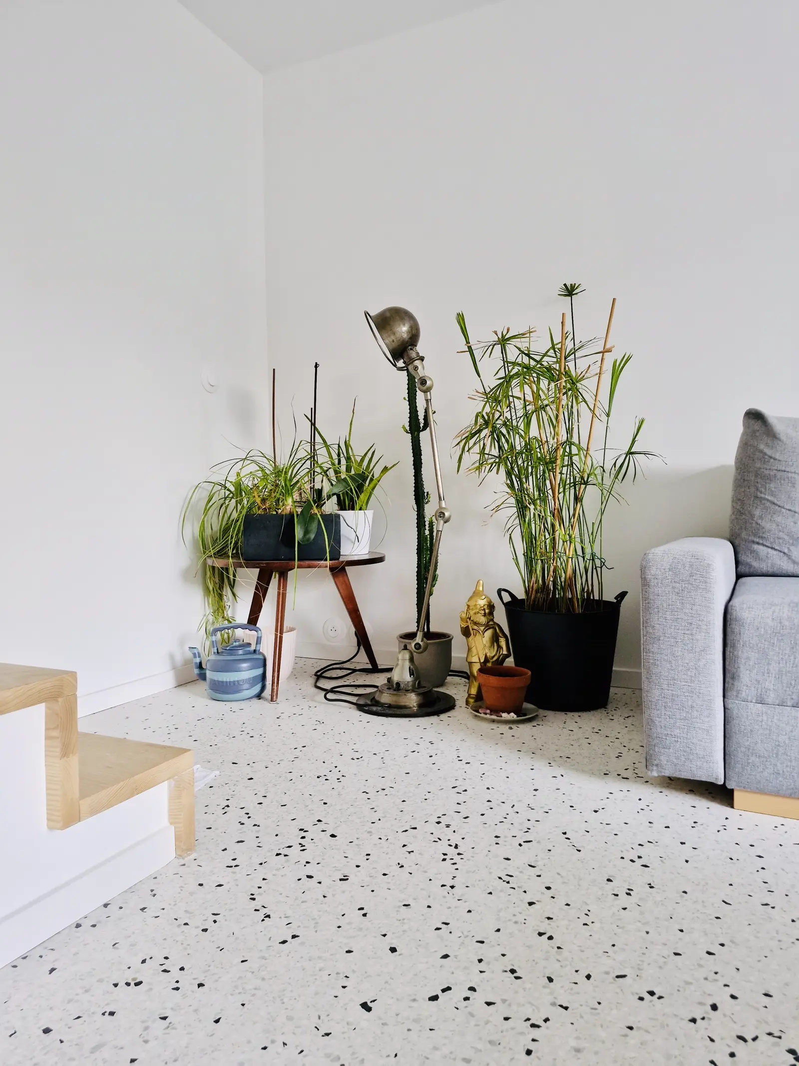 Sol en terrazzo clair dans un salon avec plantes vertes